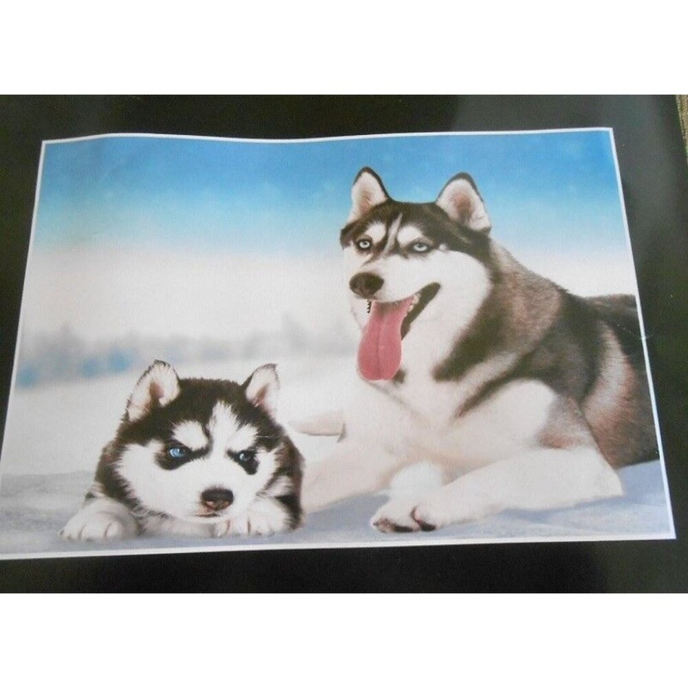New Soft Winter Husky Siberian Fleece Throw Gift Blanket Puppy Dog Breed Novelty - Picture 2 of 3